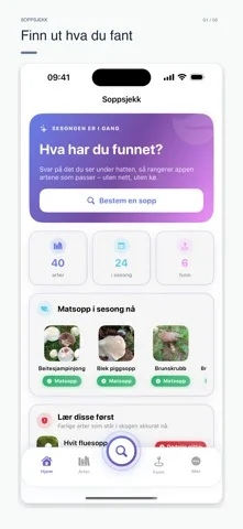 Soppsjekk – photograph a mushroom and compare its features