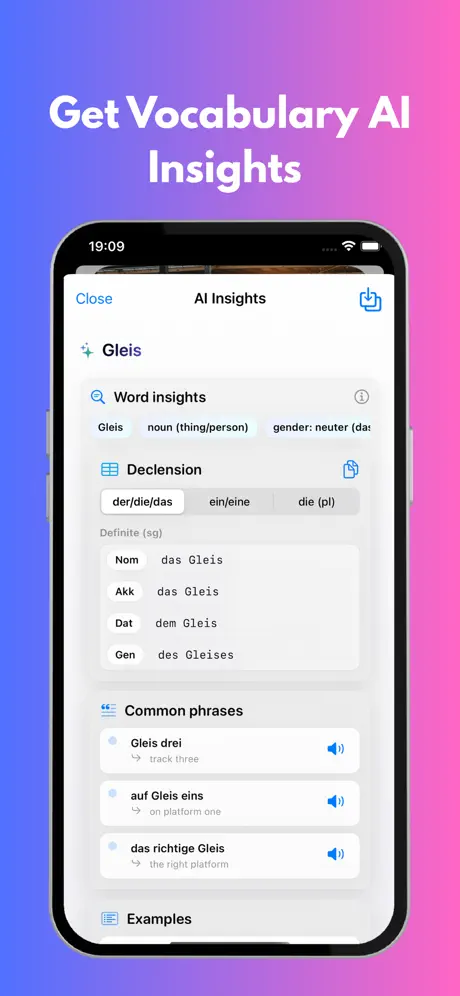 LesenLab instant translation