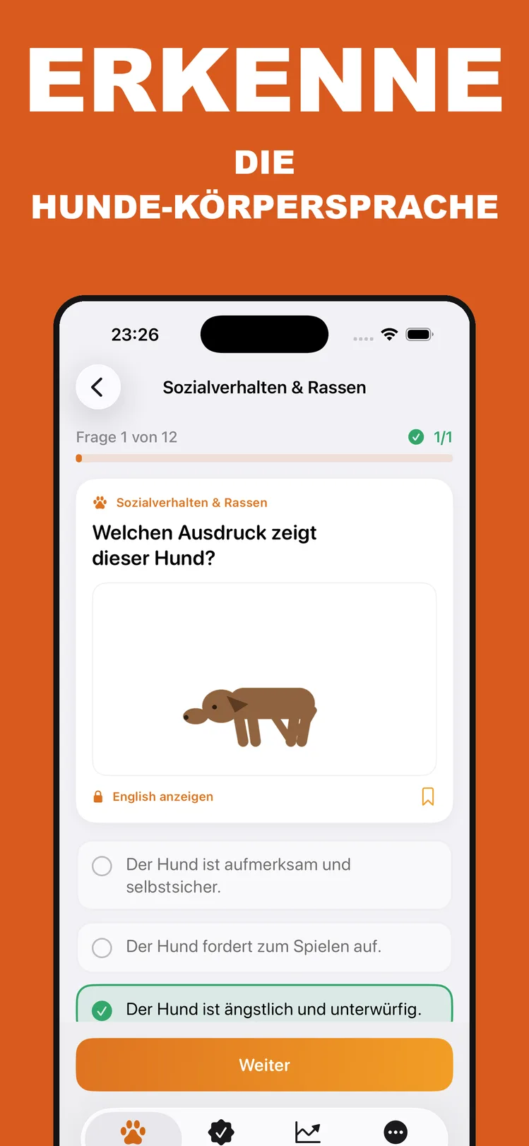 Hundeführerschein – Bildfrage zur Körpersprache von Hunden